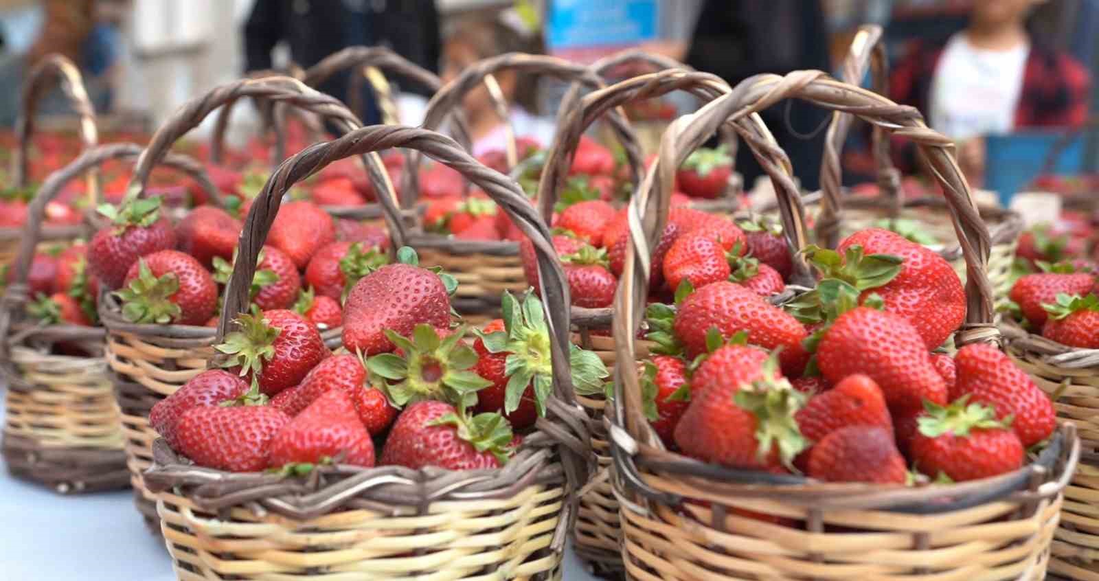 Emiralem Çilek Festivali için geri sayım başladı
?v=1