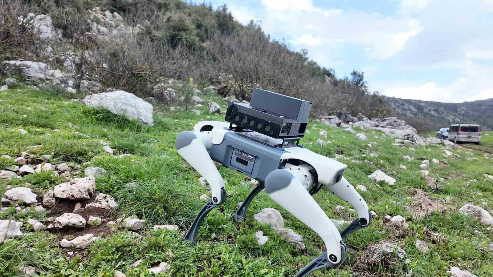 Yerli savunma sanayi firmasından robotik köpek atılımı:  AyBARS 

