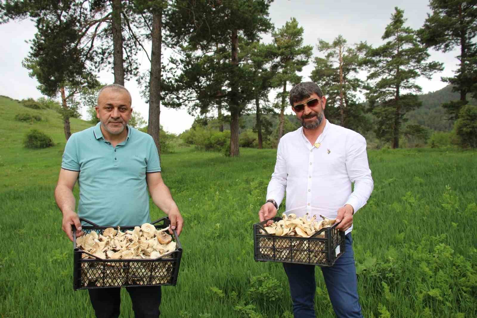 Erzurum’da vatandaşlara  zehirli mantar  uyarısı
