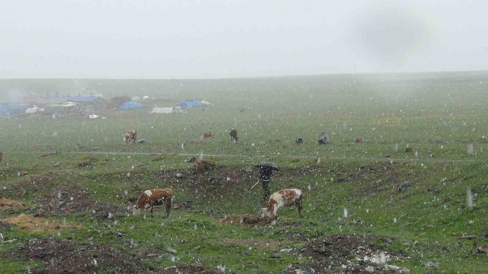 Kars’ta Mayıs karı şaşırttı
?v=1