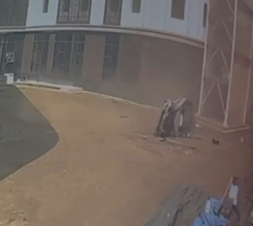 Taklalar atarak durabildi
?v=1