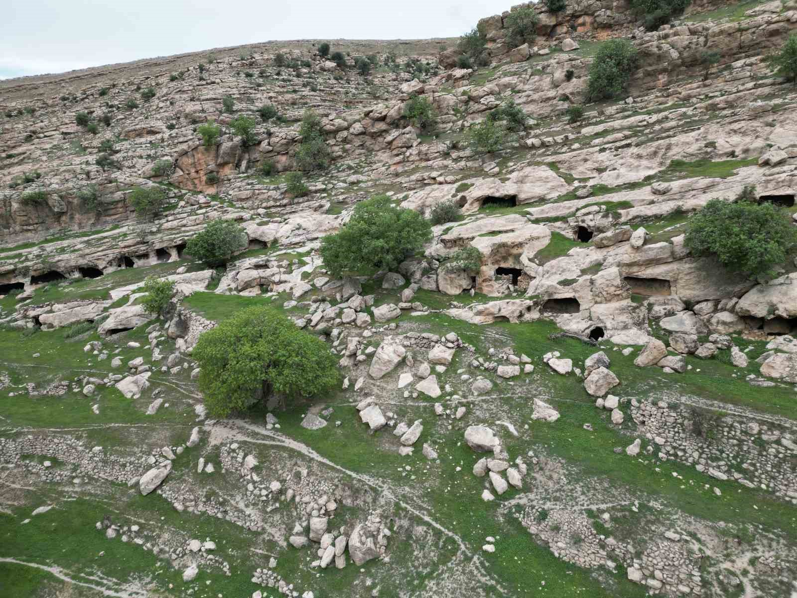 Gabar Dağı etekleri turizme göz kırpıyor
?v=1
