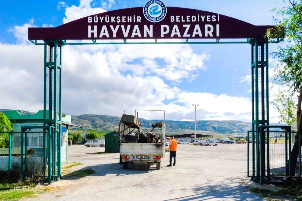 Büyükşehir Hayvan Pazarı için yer satışları başlıyor
?v=1