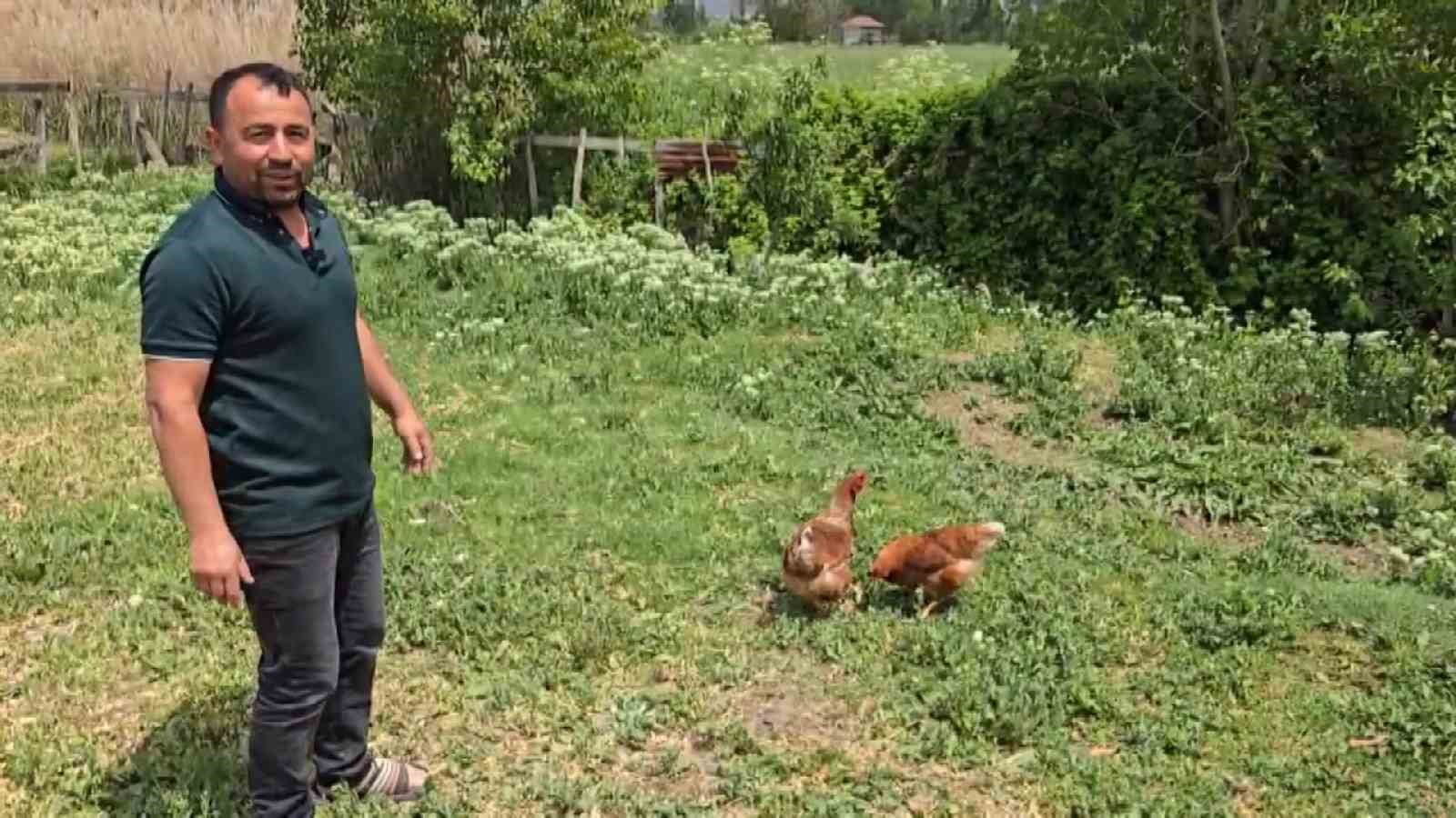 Bahçesine giren tilkiye böyle seslendi:  Kanun namına teslim ol 
?v=1