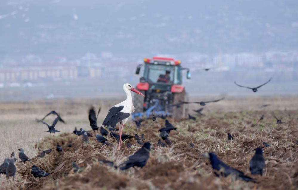 Erzurum’da traktör ve motosiklet sayısında artış var
?v=1
