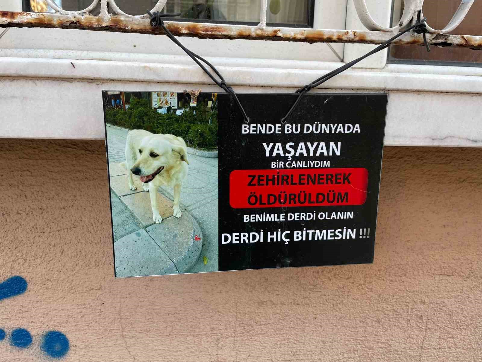 Zehirlendiği iddia edilen köpeğin fotoğrafıyla asılan not göze çarptı
?v=1