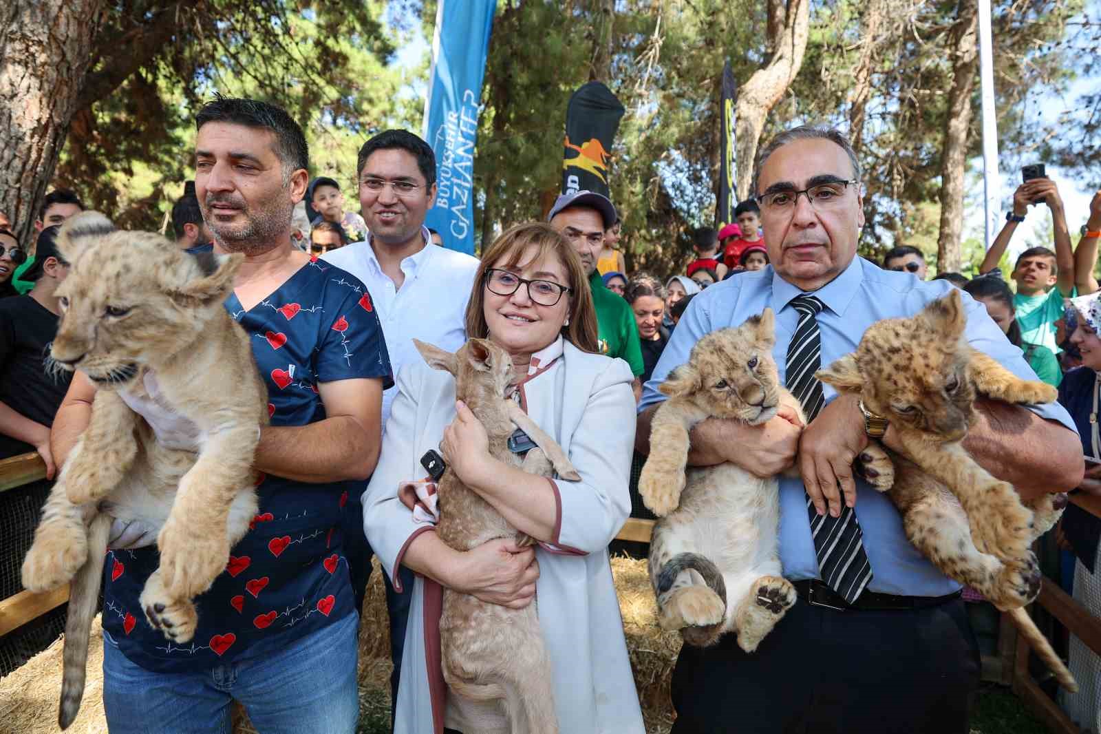 Cumhurbaşkanı Erdoğan’a hediye edilen aslanların üç yavrusu doğdu
?v=1