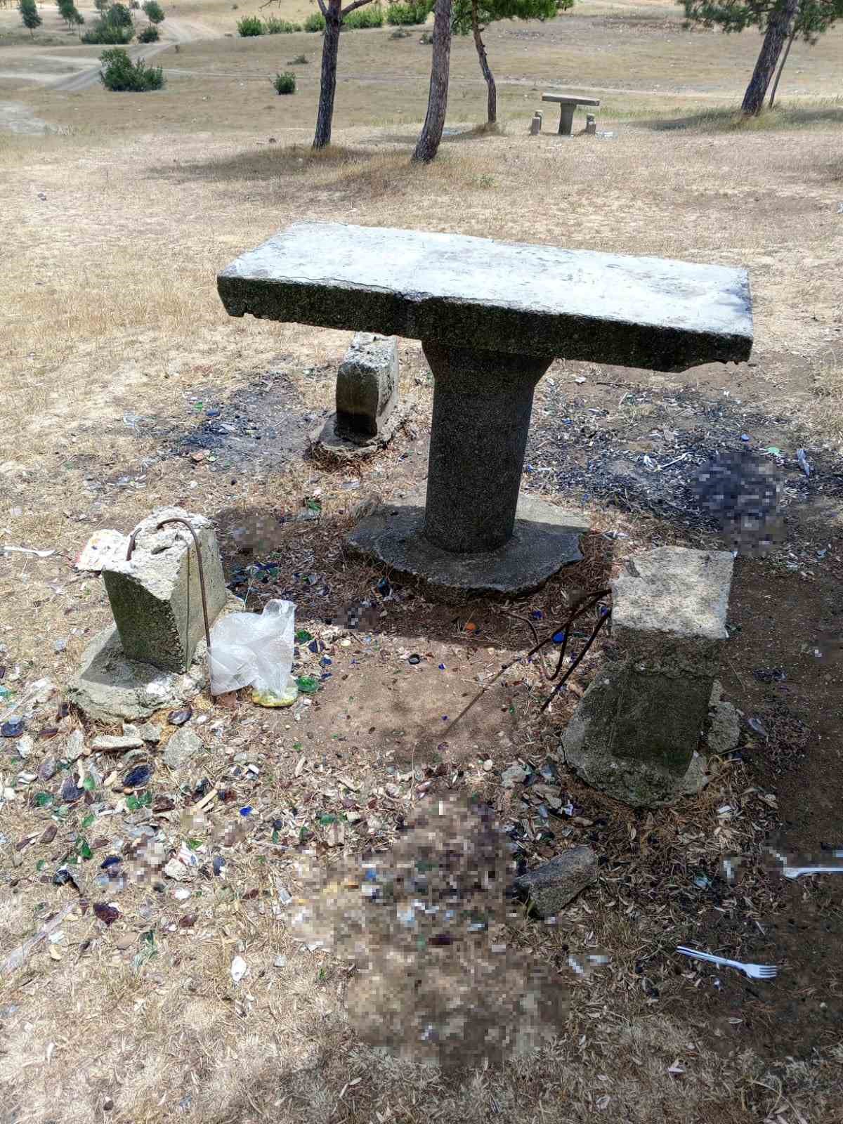 Mesire alanındaki oturma alanlarına zarar verdiler
?v=1