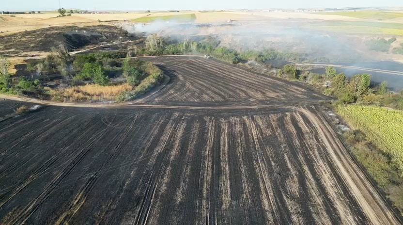 Tekirdağ’da çıkan yangında bin 500 dekarlık tarım arazisi zarar gördü
?v=1
