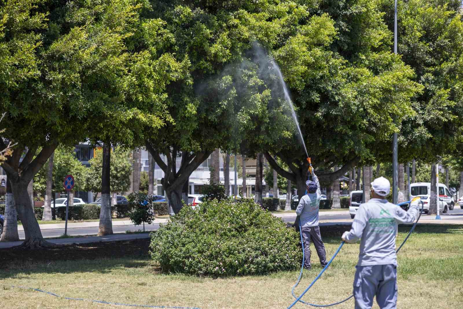 Mersin’de yaz boyunca kesintisiz ilaçlama
