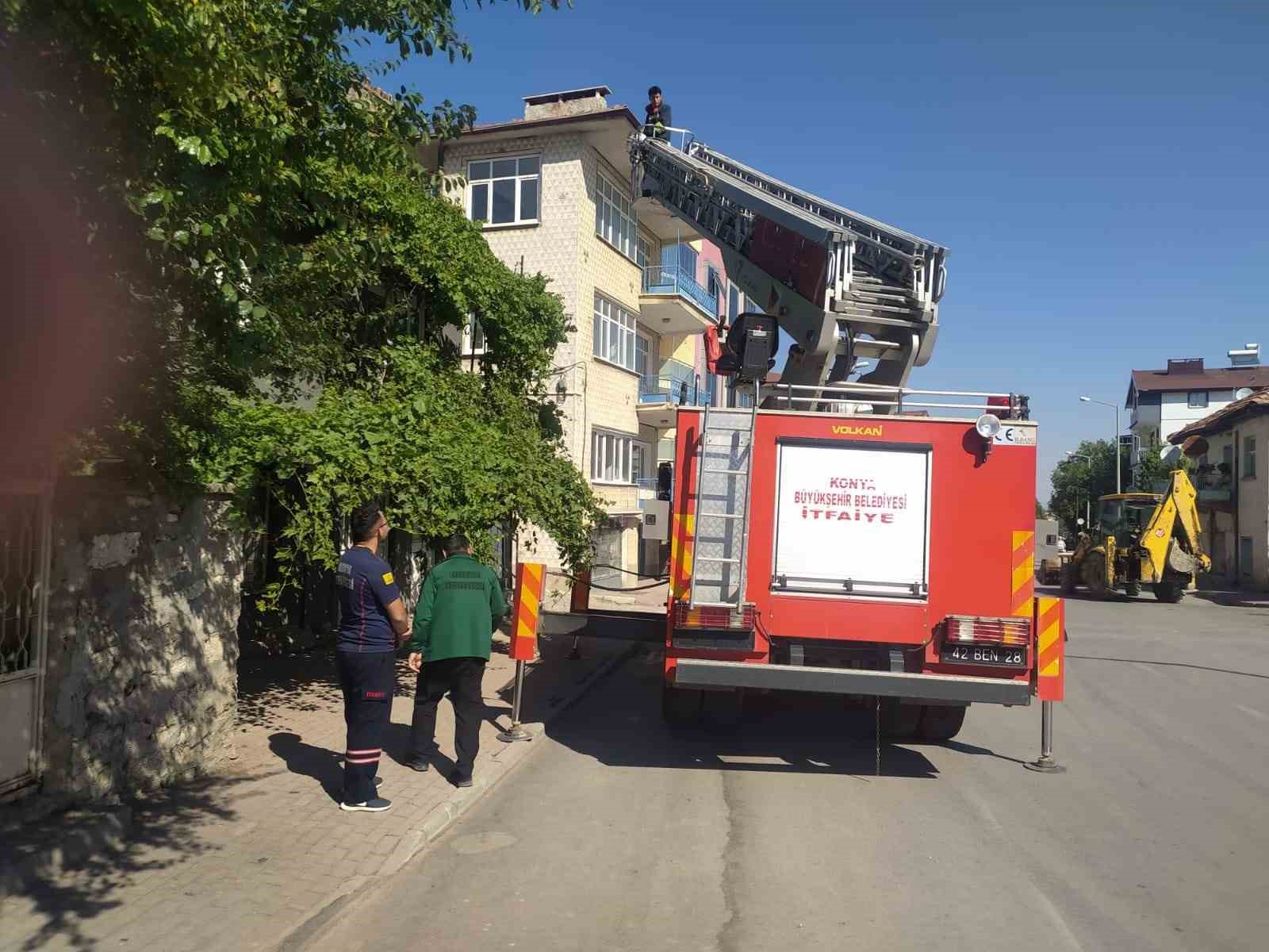 Beyşehir’de itfaiyenin kedi kurtarma seferberliği
?v=1