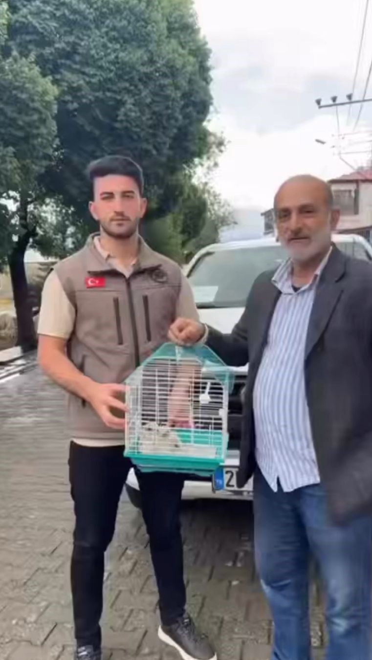 Vatandaşlar ve askerlerin bulduğu 3 kerkenez yavrusu doğaya salındı
?v=1
