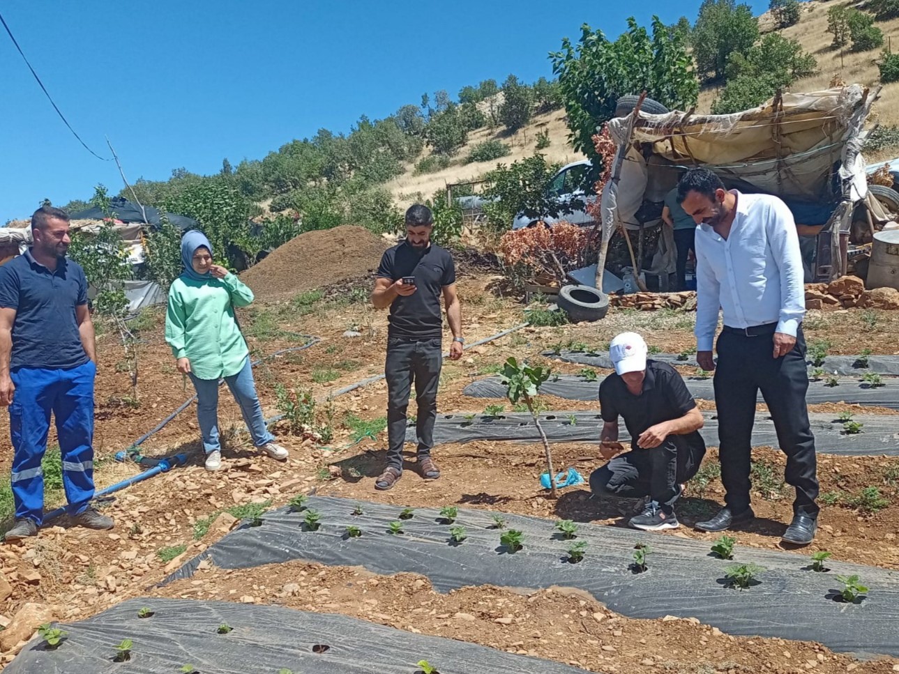 Siirt’te bitkisel üretim alanlarında hastalık ve zararlı takibi sürüyor
?v=1