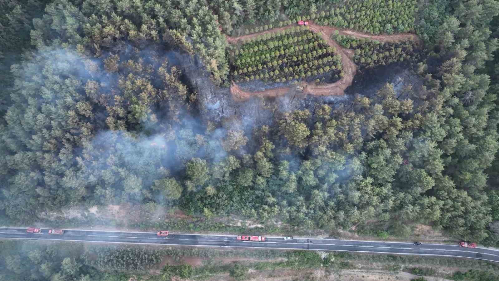 Bayramiç’teki orman yangını kontrol altına alındı
?v=1