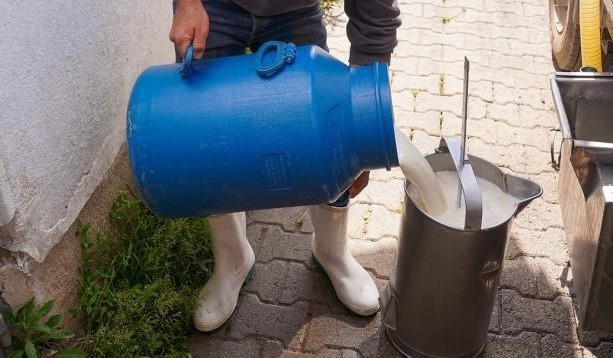 Aydıntepe’de ‘Süt Hijyeni’ kursu açılıyor
?v=1