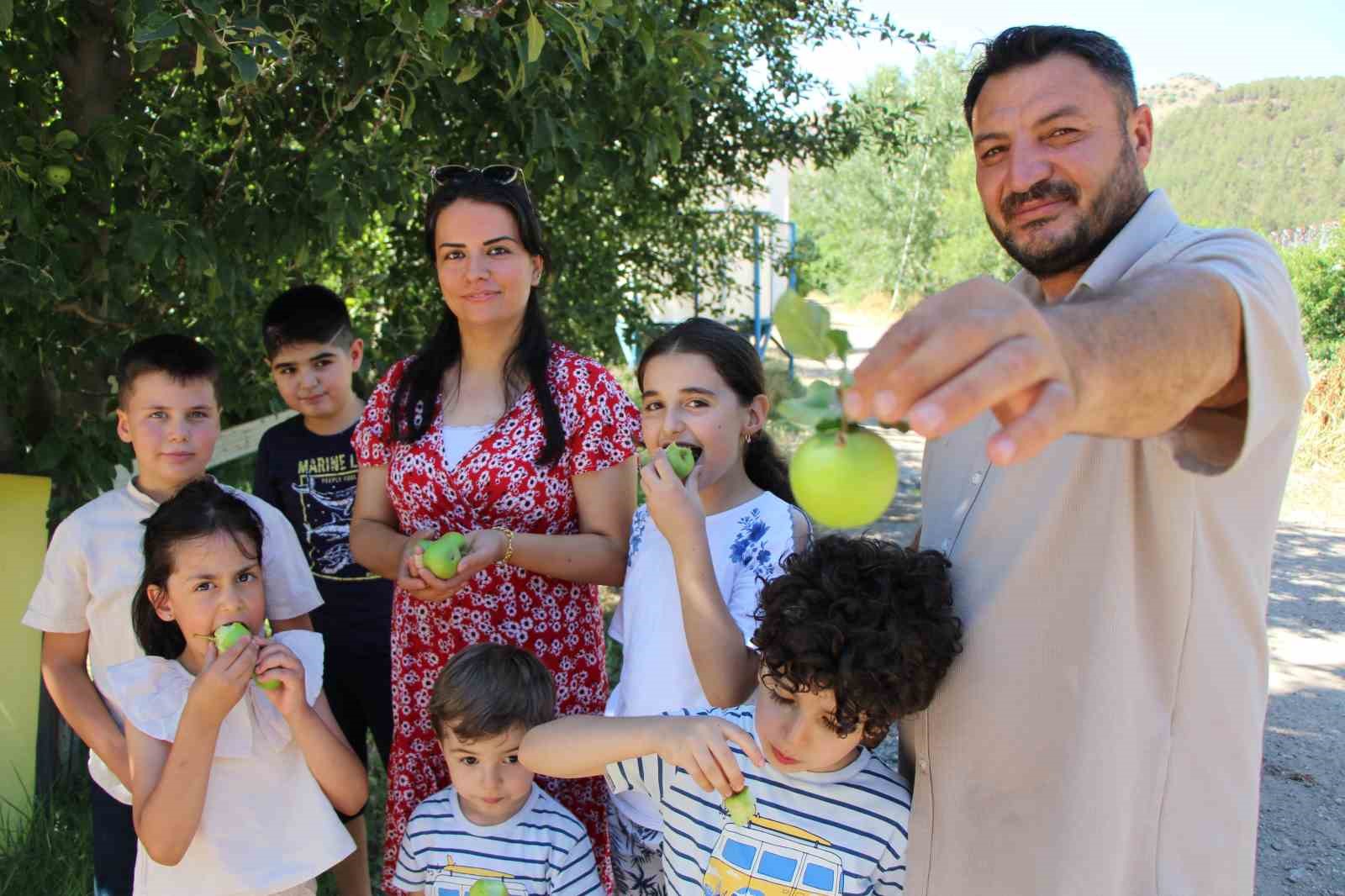 Don felaketinden korunan elmaları satmayıp bahçesine gelenlere ikram ediyor
?v=1
