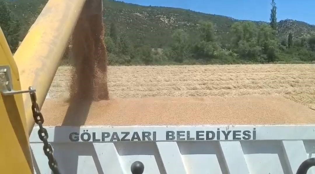 Tarım arazilerinde hasat sevinci
?v=1