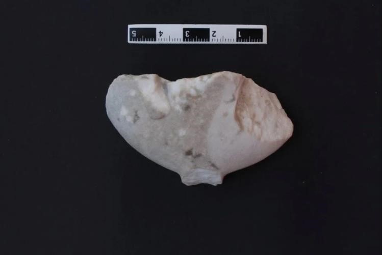 Bu ‘Kilya’ tipi figür tüm tarihi değiştirecek
?v=1