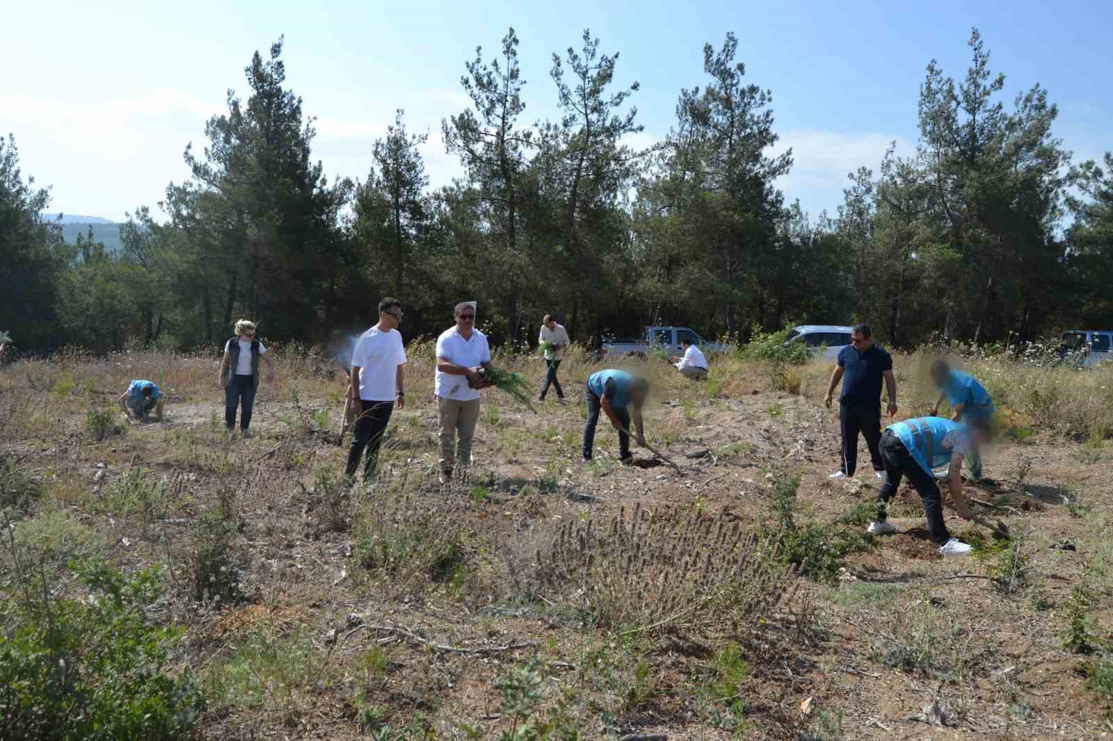 Hükümlüler, 15 Temmuz Şehitleri anısına fidanları toprakla buluşturdu
?v=1