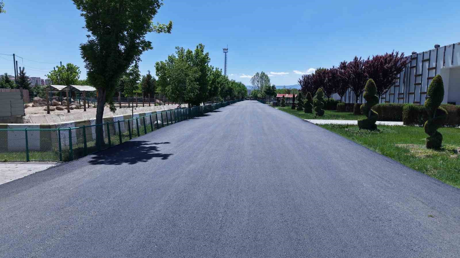 Hayvanat bahçesinde yürüyüş yolları yenilendi
?v=1