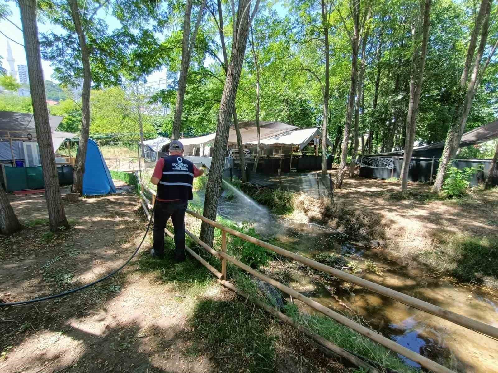 Ordu’da vektörel mücadele sürüyor
?v=1