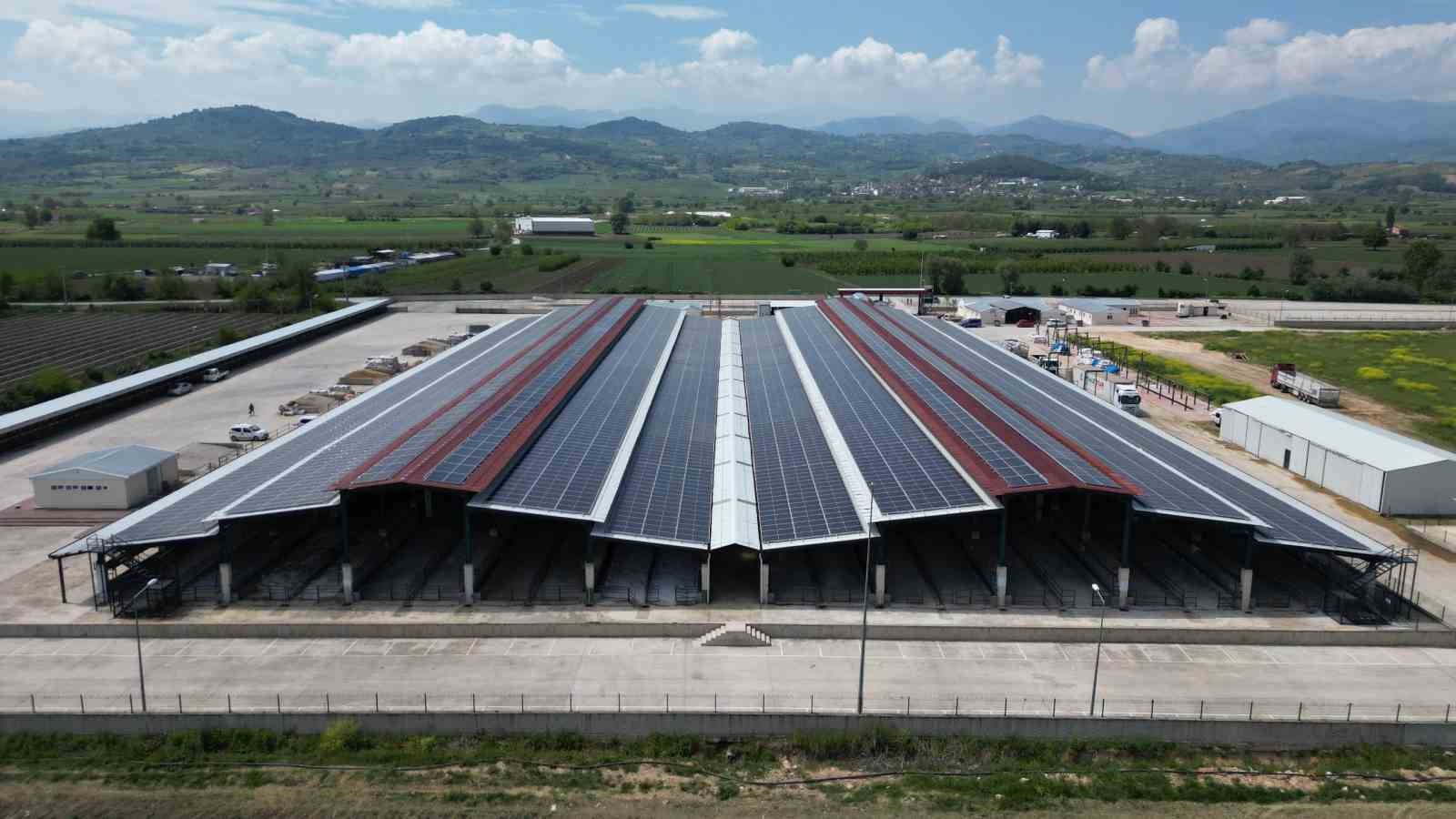 Güneşten ayda 1,2 milyonluk kazanım
?v=1