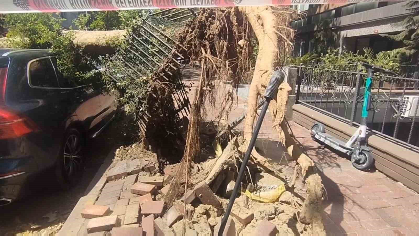 Şişli’de park halindeki araçların üzerine ağaç devrildi
?v=1