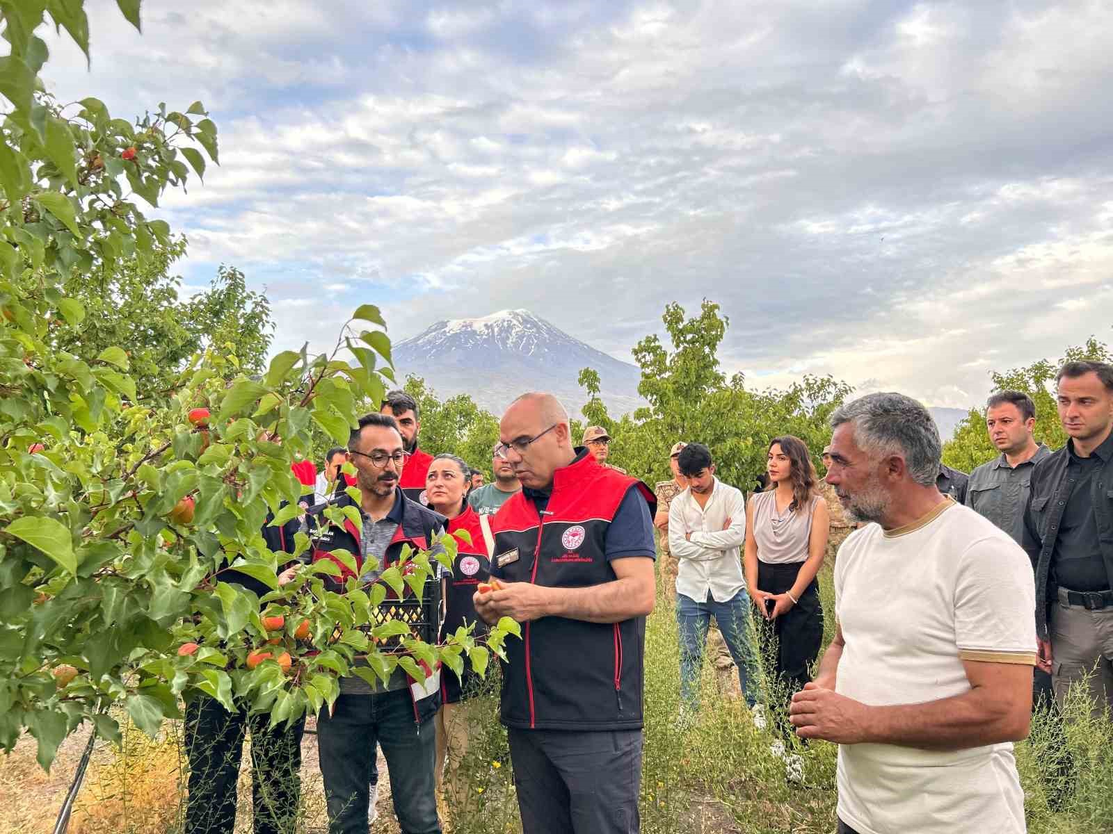 Ağrı Valisi Koç, Doğubayazıt’ta bir dizi incelemelerde bulundu
?v=1