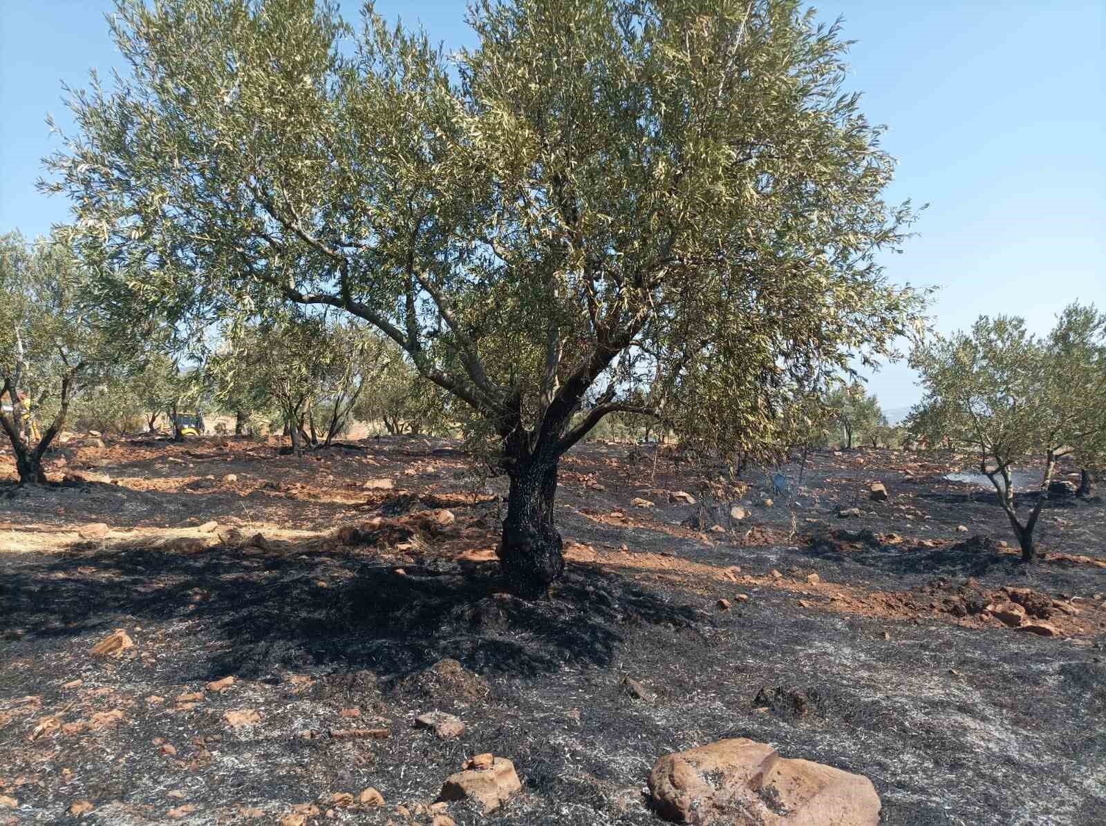Karacasu’da tarım arazisi yandı, Başkan Büyükyapıcı uyardı
?v=1