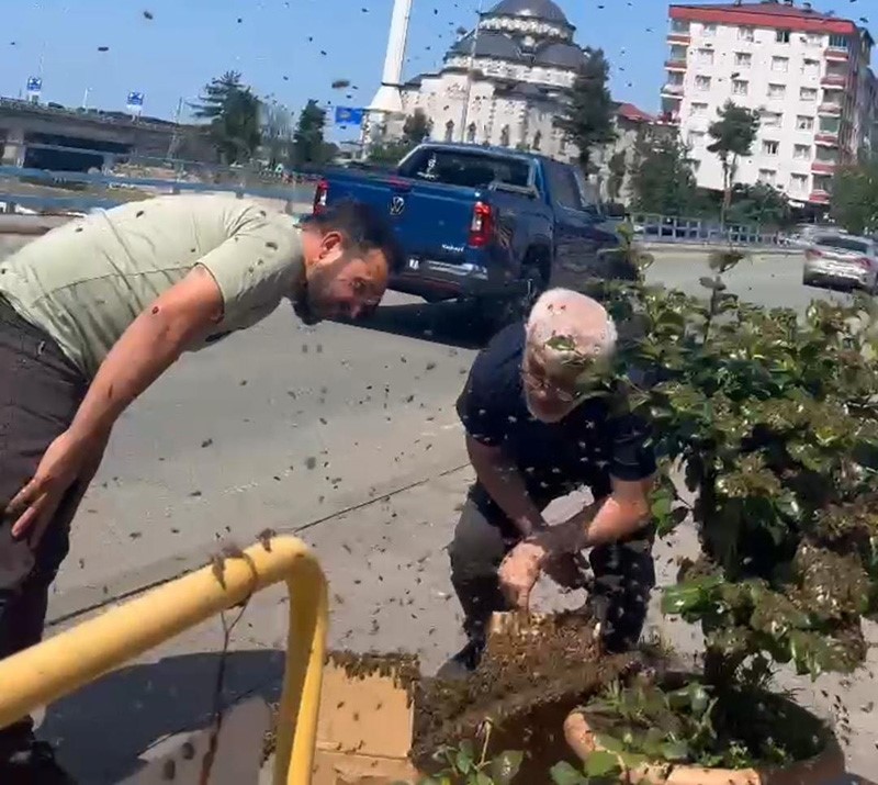 Rize’de arıların çiçek seferi
?v=1