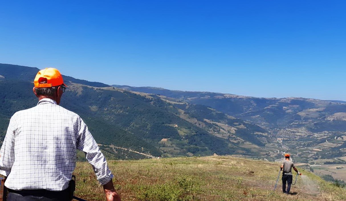 Samsun Canik’te çekirge istilasına karşı devlet destekli ilaçlama
?v=1