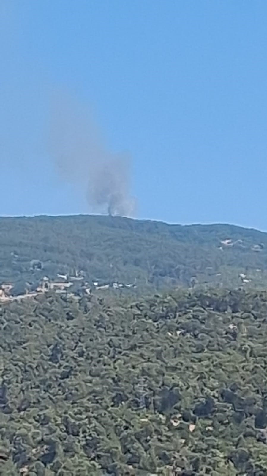 Çine’de orman yangını
?v=1