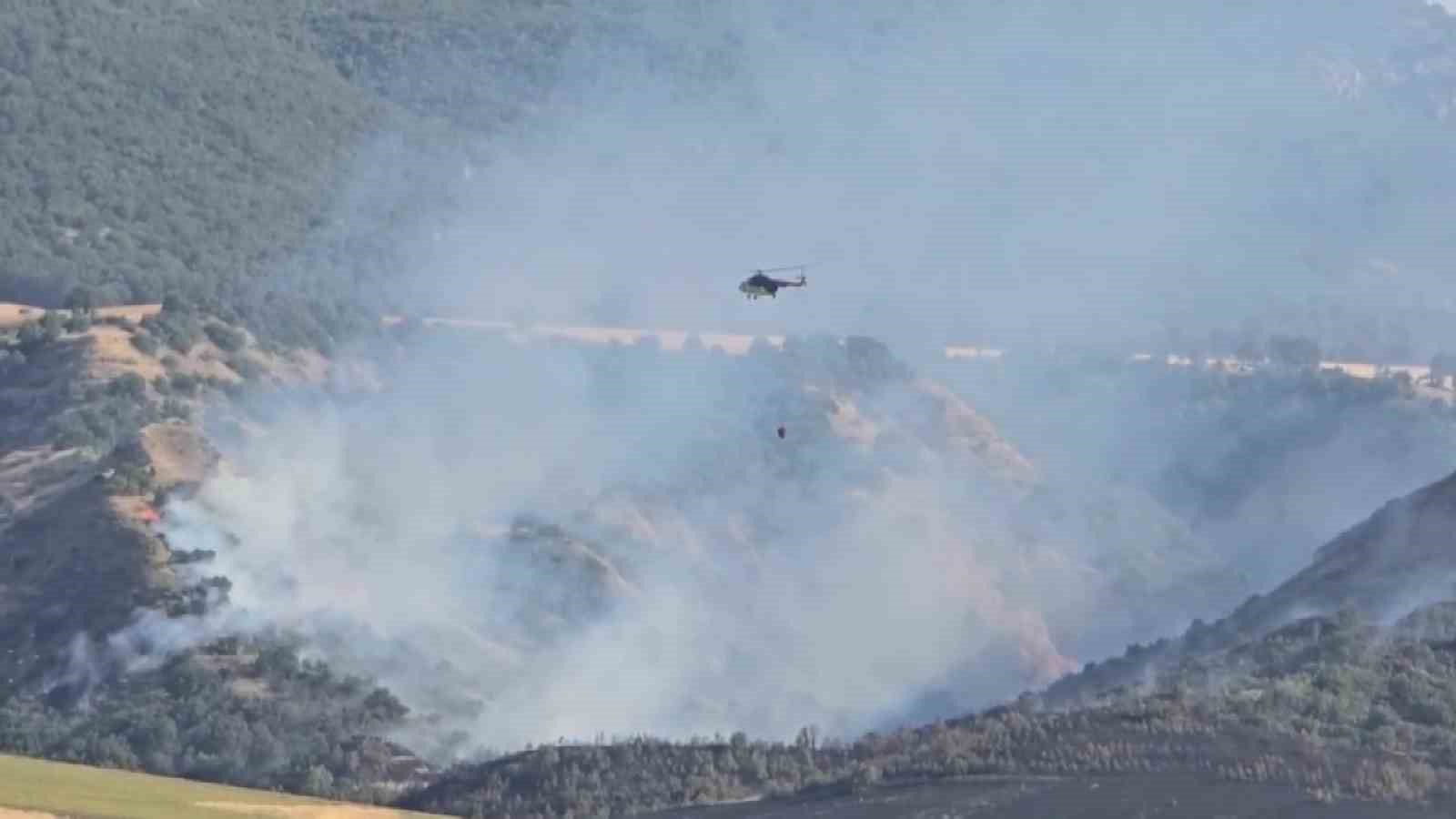 Amasya’da orman yangını: 50 dönüm orman, 150 dönüm tarım arazisi zarar gördü
?v=1