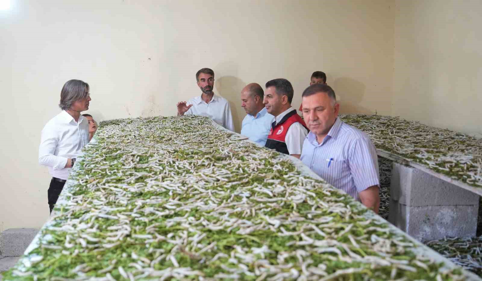  Böcekle mi uğraşacaksın  sözlerine aldırmadı, binlerce lira kazandı
?v=1