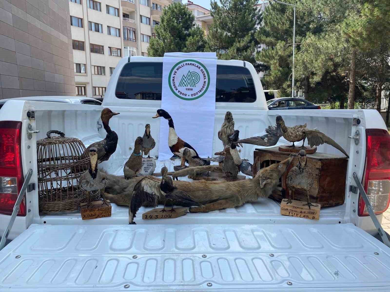 Afyonkarahisar’da 14 tahnit hayvan ve 2 kafes ele geçirildi
?v=1