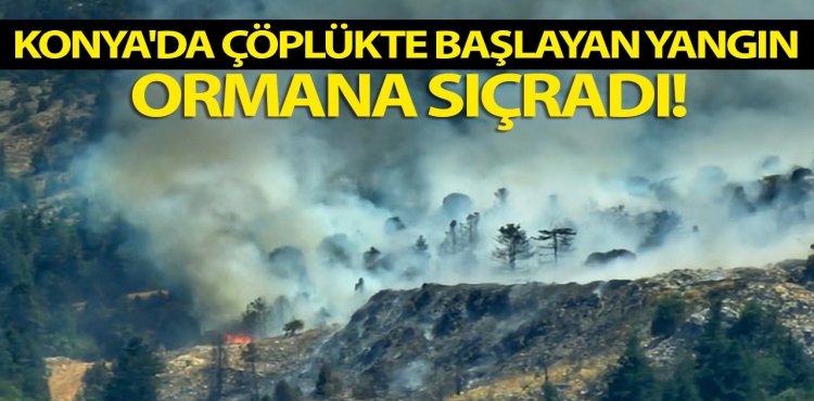 Konya'da Çöplükte Başlayan Yangın Ormana Sıçradı!?v=1