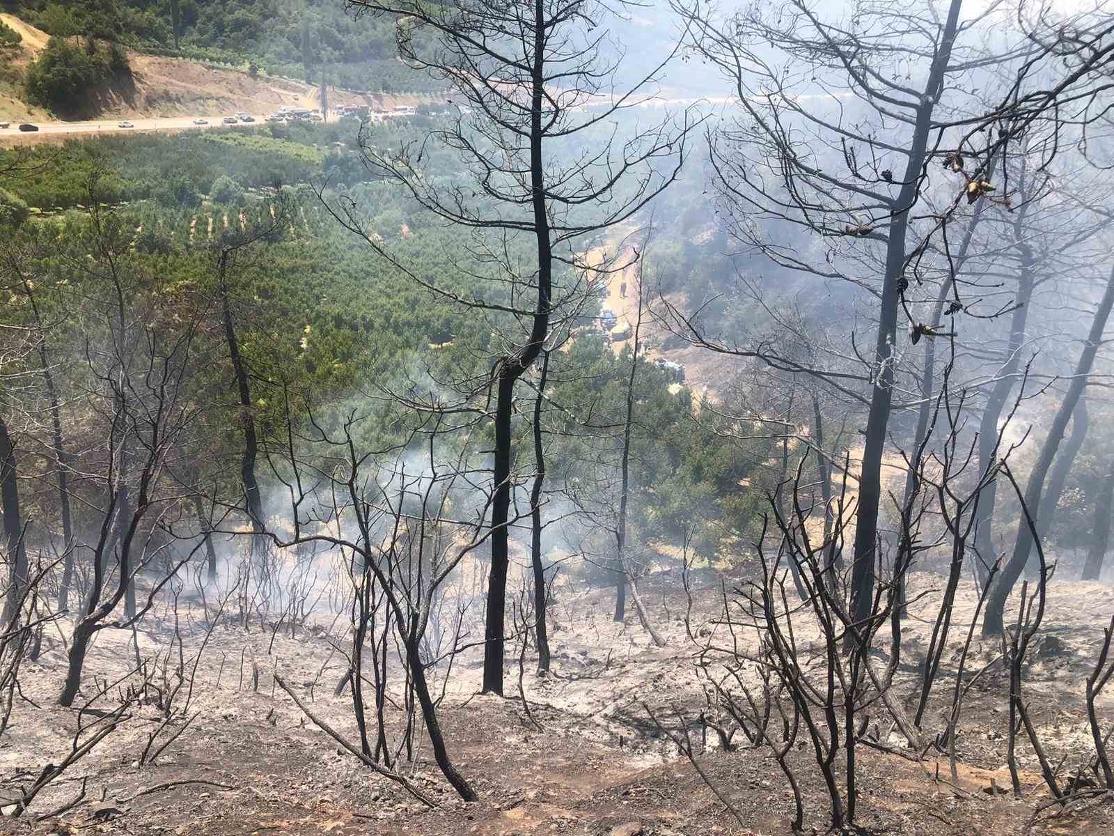 Bilecik’te orman yangını ekipler tarafından söndürüldü
?v=1