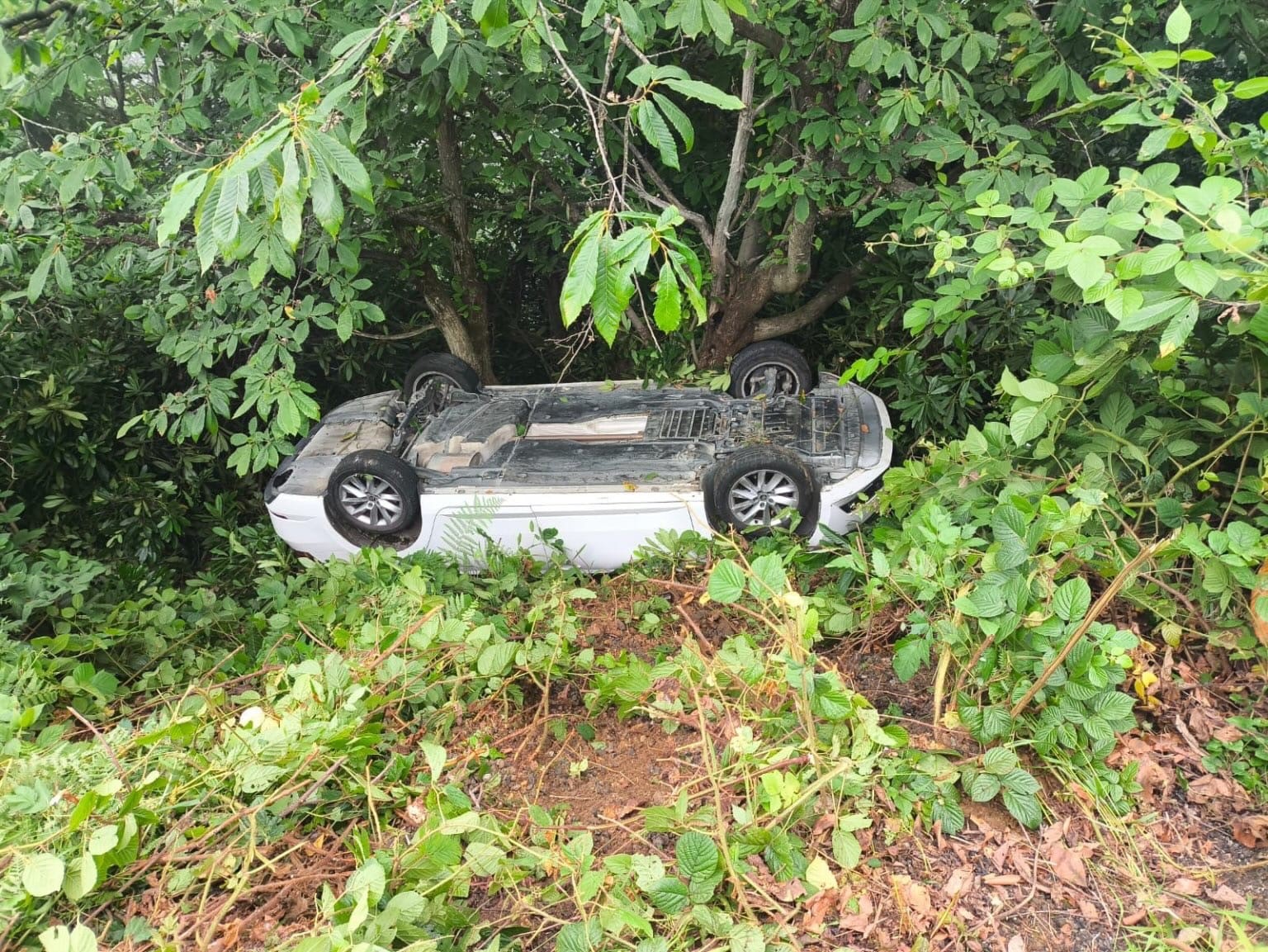 Giresun’da otomobil şarampole devrildi: 6 yaralı
?v=1